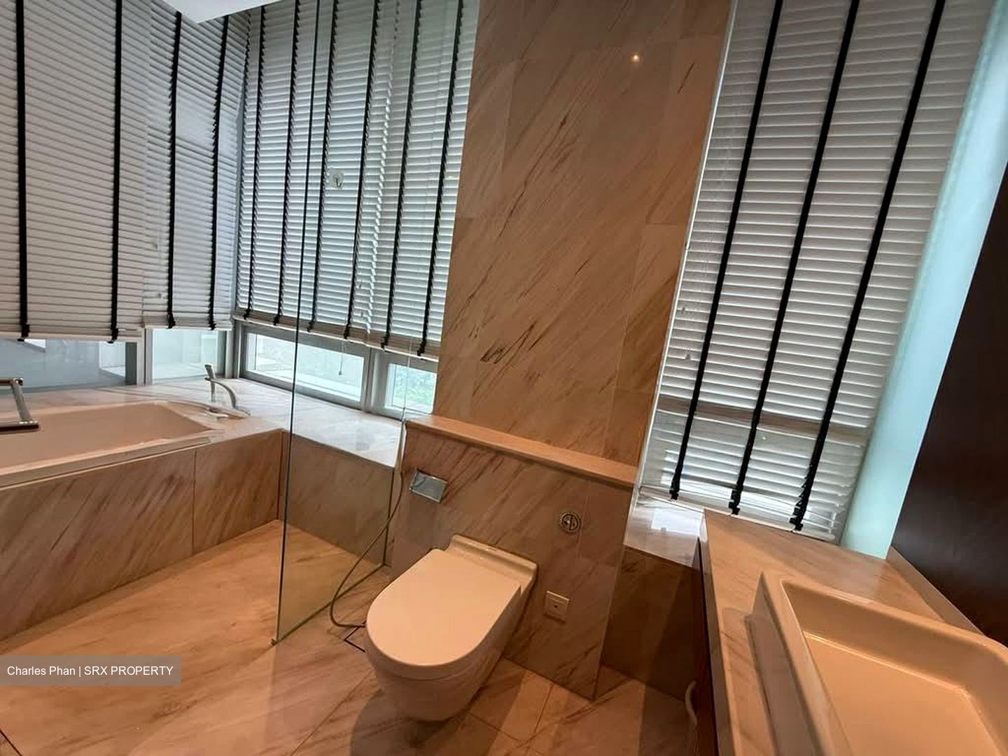 Nouvel 18 (D10), Condominium #592728041